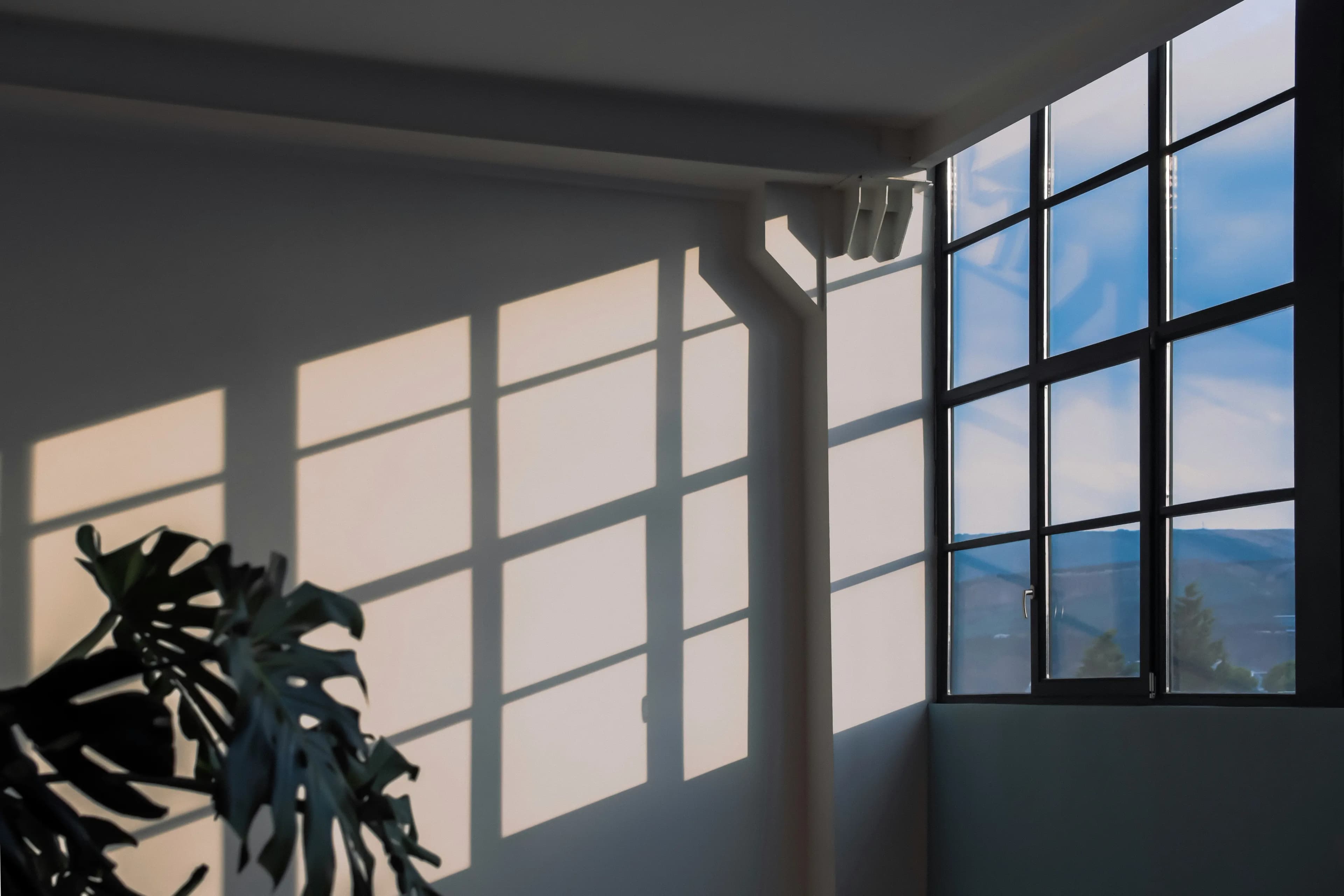 home-banner